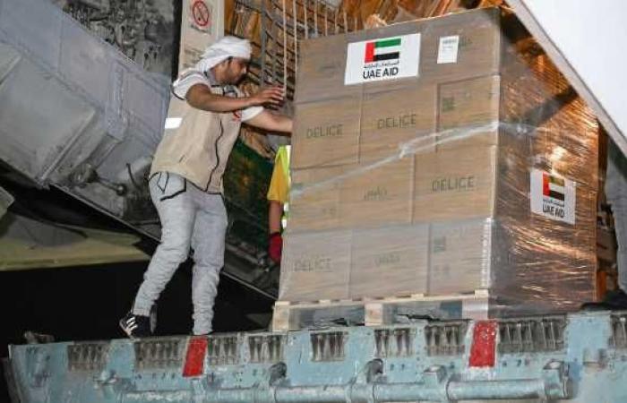 Un avion d'aide des EAU arrive au Tchad en soutien aux réfugiés soudanais et à la communauté locale