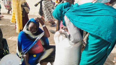 Un avion d'aide des EAU arrive au Tchad en soutien aux réfugiés soudanais