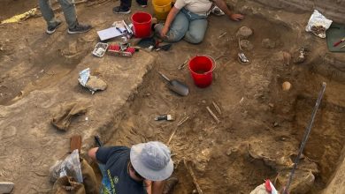 Découverte d'un Centre Commercial Antique à Chypre... et un Trésor Précieux dans les Tombes