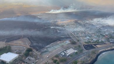 D'énormes Incendies Ravagent Hawaï, Le Bilan des Décès Augmente 