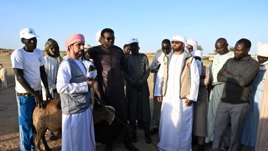 L'équipe humanitaire émiratie distribue 200 têtes de bétail aux habitants de la région de Hilla à Amdjars, au Tchad