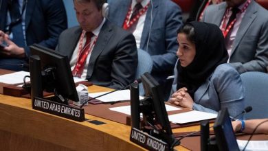 Les Émirats arabes unis appellent à une solution globale au Yémen et à la confrontation des plans de déstabilisation des Houthis
