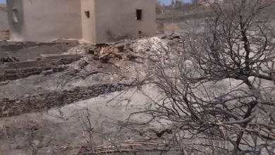 Les Incendies Transforment une Île Touristique en Grèce en Cendres