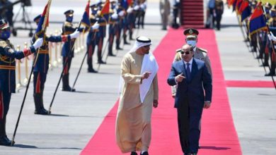 Media professionals: Egypt and the UAE, a pivotal partnership for supporting Arab efforts and facing challenges