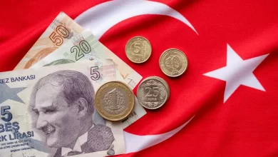 Nouvelles crises affectant l'économie turque 