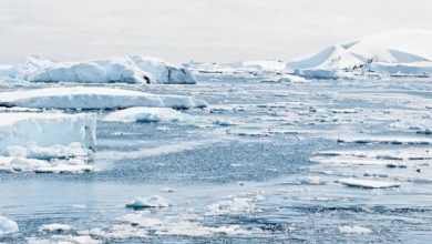Quel était le climat du Moyen-Orient pendant la Période glaciaire ?