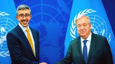 Abdullah bin Zayed rencontre Guterres... Sécurité, paix et responsabilité du Conseil de sécurité de l'ONU