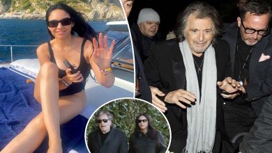 Al Pacino, âgé de 83 ans, et Noor Alfallah, âgée de 29 ans, mettent fin à leur relation trois mois après la naissance de leur fils