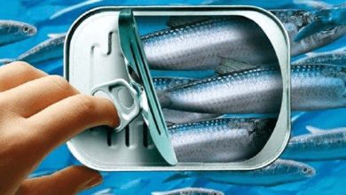 France... Enquête judiciaire suite à des cas d'empoisonnement aux sardines