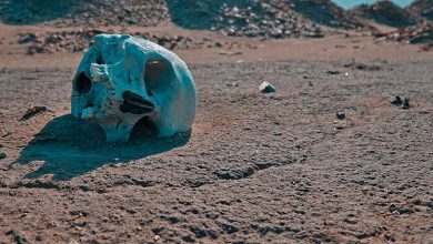 Les scientifiques révèlent : À un moment donné, l'humanité était au bord de l'extinction