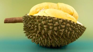 "Durian, le Roi des Fruits" - Voici les bienfaits du fruit au "mauvais" parfum