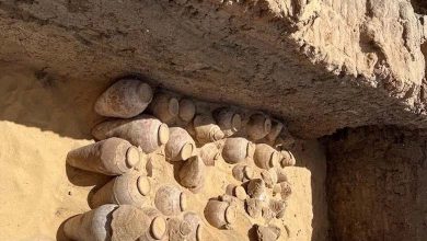 Découverte de vin préservé dans le Sud de l'Égypte depuis 5000 ans... Qu'est-ce que cela signifie ?
