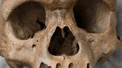 Étude choquante : Les Européens ont mangé de la chair humaine comme rituel funéraire