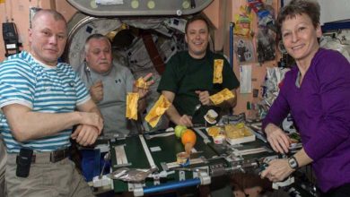 Étude prometteuse pour l'alimentation des voyageurs spatiaux dans le futur