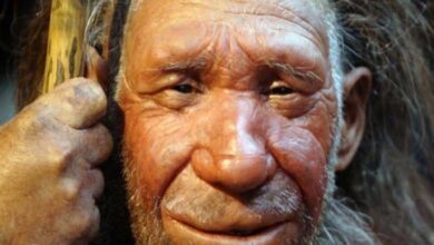 Étude révèle un nouveau secret sur les ancêtres humains