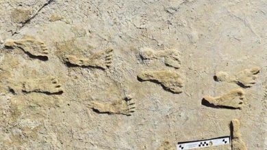 Il détruit toutes les vieilles idées... Découverte de la plus ancienne présence humaine en Amérique