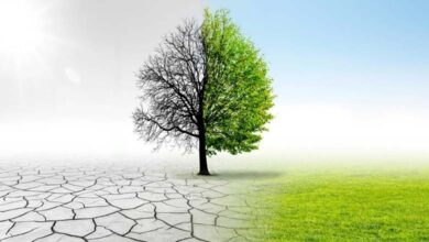 Impactant des Milliards de Personnes : Une Étude Prédit le "Pire Scénario" pour le Changement Climatique 