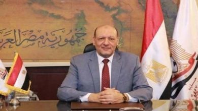 Rejet Egyptien généralisé du rapport du Parlement européen sur les élections en Égypte : il sert l'agenda des Frères musulmans