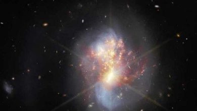 Un oiseau gardant un œuf : Une image unique d'une galaxie spirale