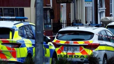 5 blessés, dont 3 enfants, dans une attaque à l'arme blanche à Dublin
