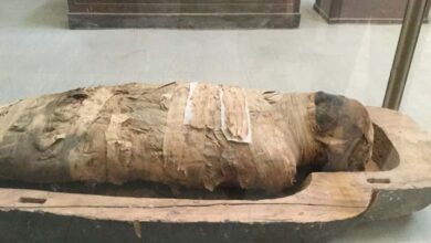 Découverte du 'Livre des Morts' dans une tombe égyptienne ancienne