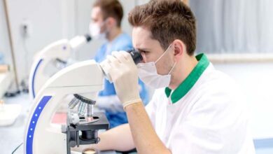 Des vagues transportant de la matière... Les scientifiques révèlent une surprise