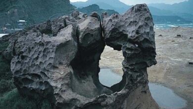 La Météorisation Naturelle des Roches : Quand les volcans rivalisent dans les émissions de Carbone 