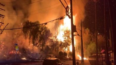 Un incendie massif dévore une zone équivalente à '6 terrains de football' à Los Angeles 
