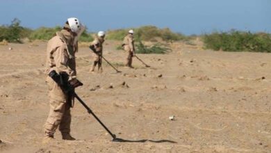 Plantées par les milices houthis... Désarmement d'environ 3 000 mines, munitions et engins explosifs en un mois