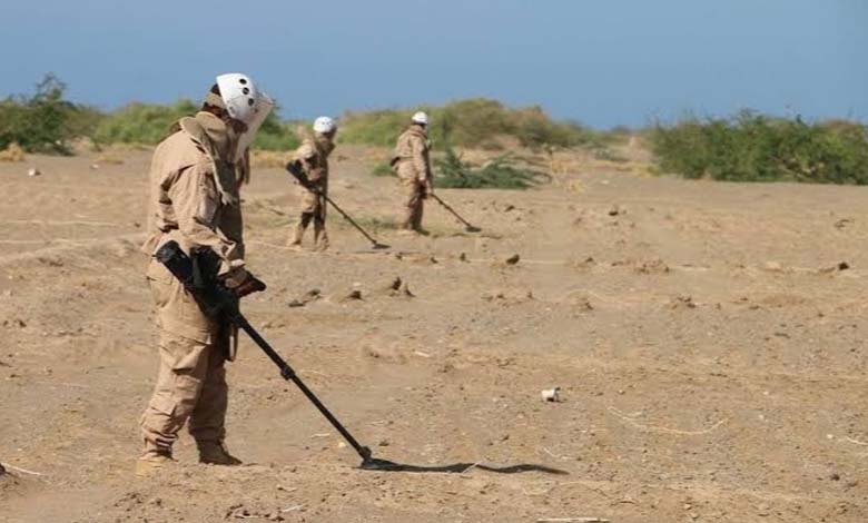 Plantées par les milices houthis... Désarmement d'environ 3 000 mines, munitions et engins explosifs en un mois