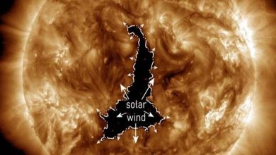"20 fois la Terre"... La NASA dévoile un trou solaire gigantesque