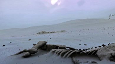 Avertissement d'une extinction massive des humains