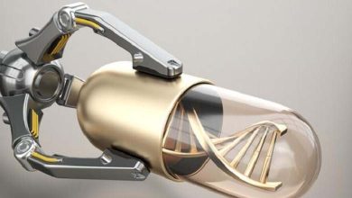 Bonne nouvelle pour les patients obèses... Une capsule trompe l'estomac pour ressentir la satiété