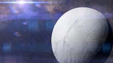 Découverte sur la lune de Saturne... "De minuscules microbes" soutiennent l'idée de la vie 