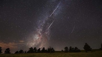 Les Perséides chaque minute... Pluie de météores illumine le ciel de la région 