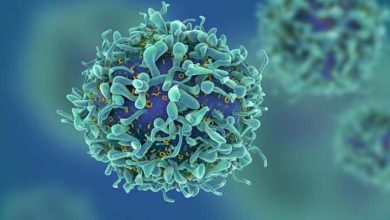 Nouvelle méthode innovante détruit 99% des cellules cancéreuses 