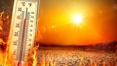 Organisation : Hausse de la Température Mondiale de 1,4 Degré Celsius en 2023