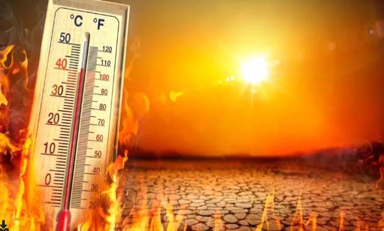 Organisation : Hausse de la Température Mondiale de 1,4 Degré Celsius en 2023