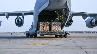 Pont aérien et maritime émirati... Un important envoi d'aide est en route vers Gaza 