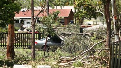 Tempêtes en Australie : 9 morts et des vents déracinent des arbres