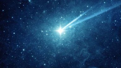 Comète 'Wild 2' - Témoin de l'histoire du système solaire 