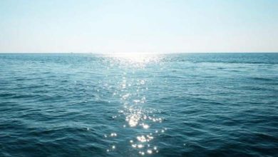 Comment le changement climatique affecte-t-il l'acidité de l'océan Austral ?