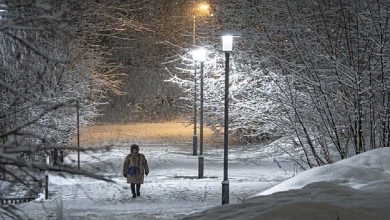 Des scientifiques découvrent une relation entre l'éclairage nocturne et la perte de vision 