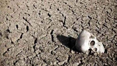 Détails terrifiants... Une étude prédit l'extinction des humains cette année 