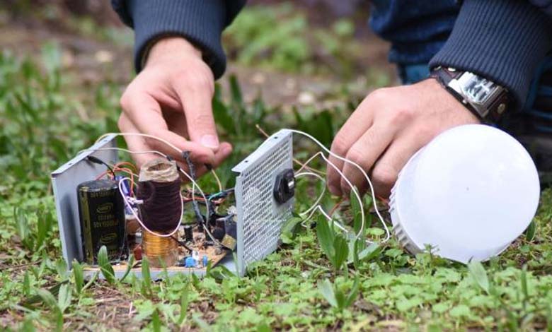 Électrochocs sur les Racines des Plantes : La Dernière Méthode pour ‘Sauver le Monde’ 