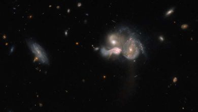 Fusion Galactique Sauvage révélée par Hubble 