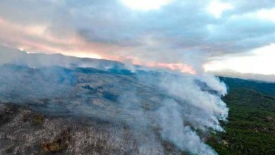 Le climat extrême ravage le patrimoine argentin... 600 hectares détruits dans un site naturel
