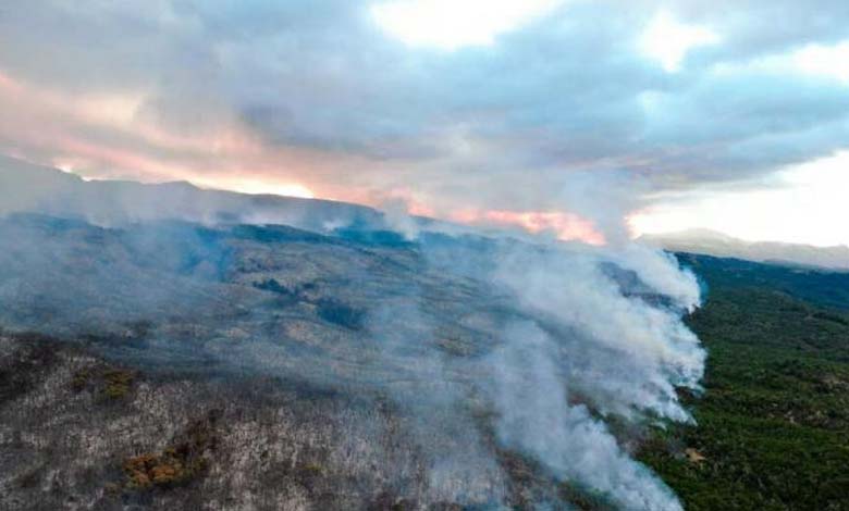 Le climat extrême ravage le patrimoine argentin... 600 hectares détruits dans un site naturel