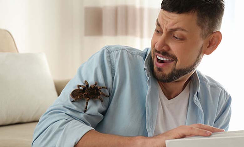 Le traitement de la peur des araignées réduit la phobie des hauteurs