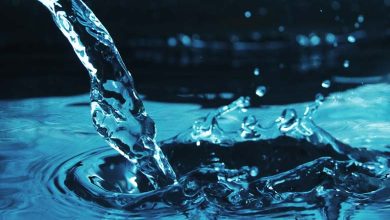 L'eau est-elle "l'élixir unique de la vie"? Une étude explore d'autres éléments